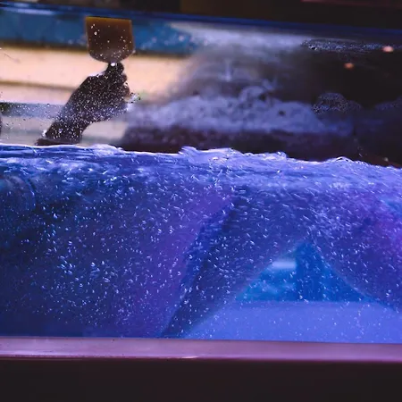 Juloft Private * Leverkusen