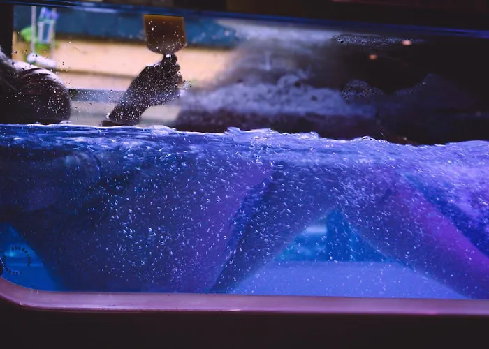 Juloft Private * Leverkusen